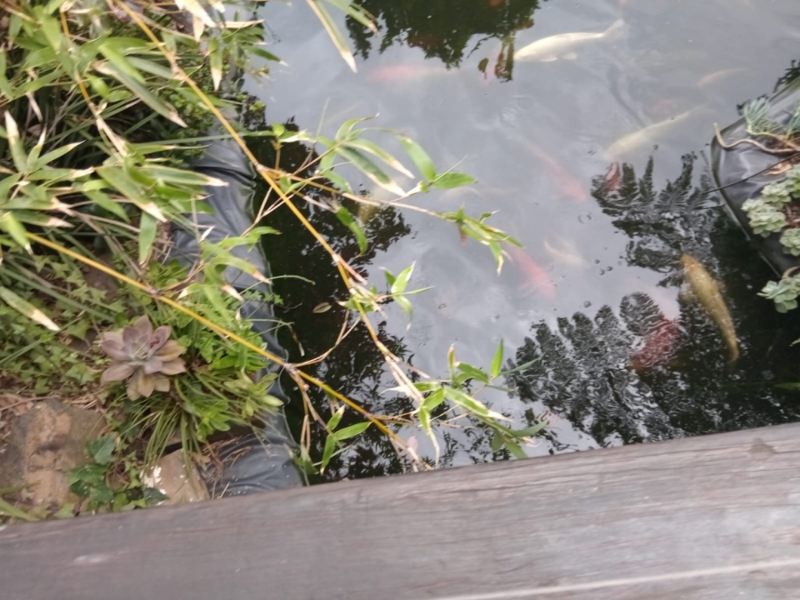 6 Bedroom Property for Sale in Gonubie Eastern Cape